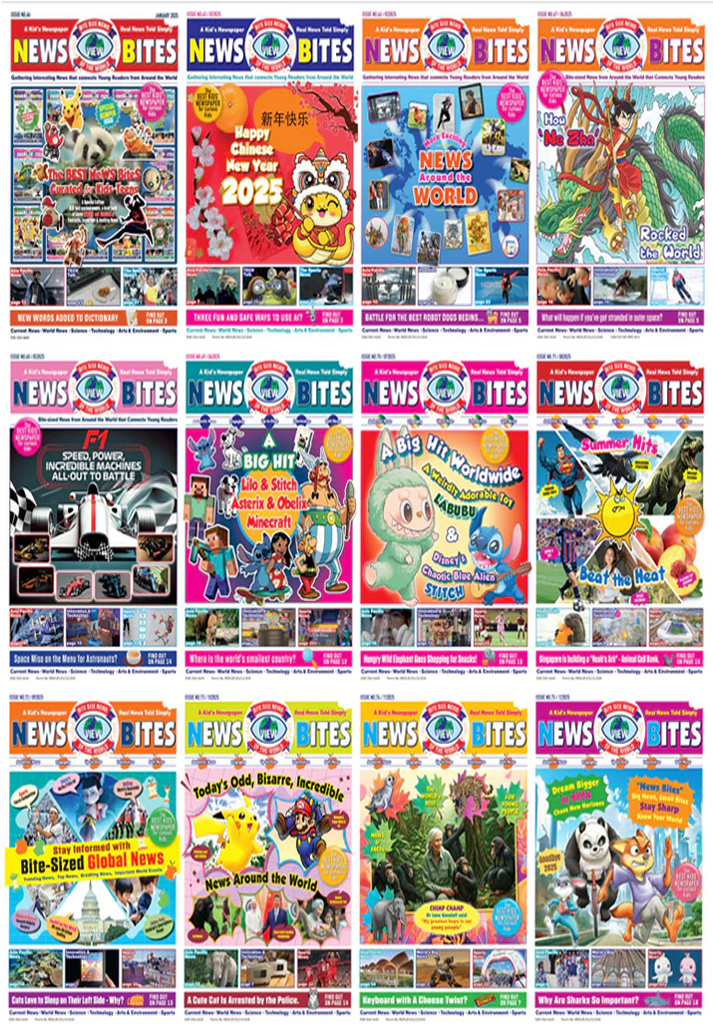 News Bites 2025 - 12 issues Collectable News